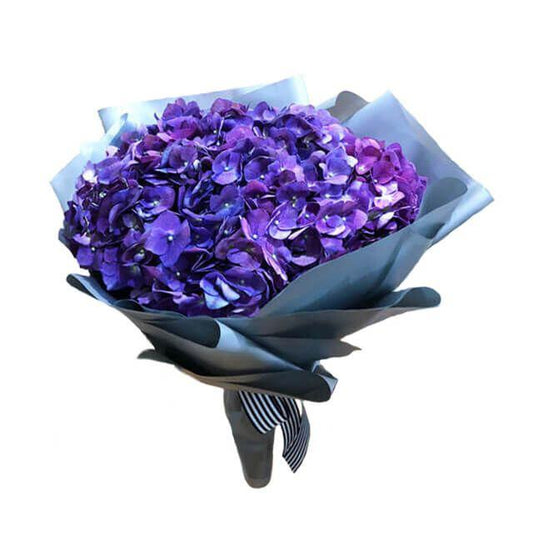 Hydrangea Ungu Royal Purple - Buket Hydrangea Valentine