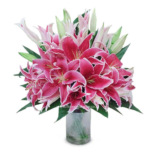 I Am Loved - Vas Bunga Lily Pink