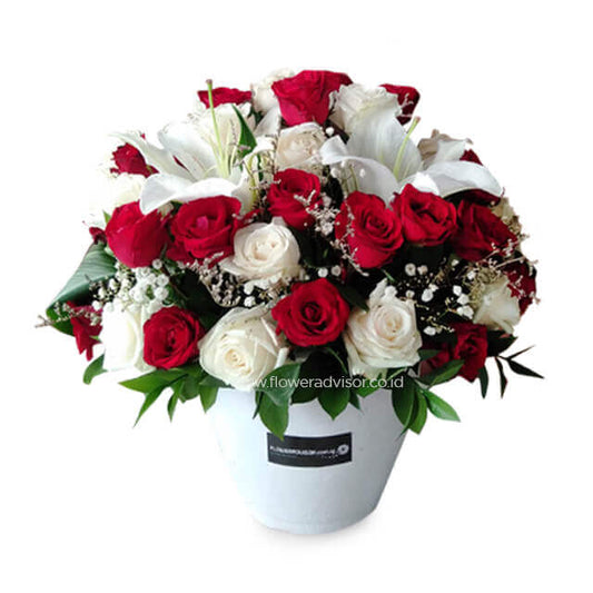 Luminosite - Mothers Day Flower