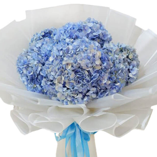My Blue Baby - Grand Hydrangea Bouquet