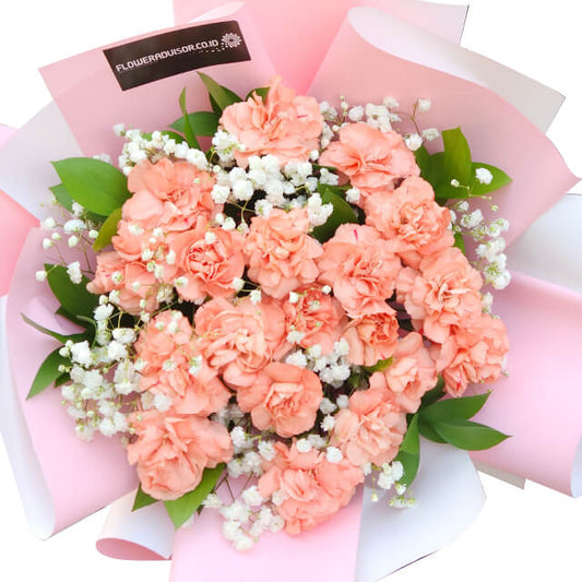 Buket Bunga Bunch of Love - Classic Carnation
