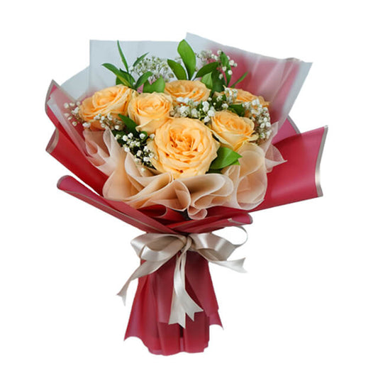 Wonder Peach Elegance Rose